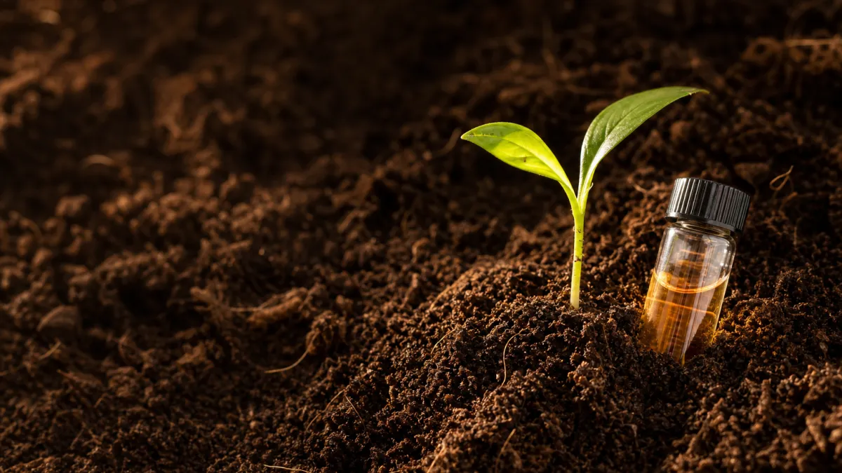 Nitrification : définition, étapes et cycle de l'azote